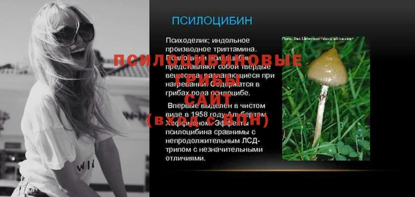 спайс Пересвет