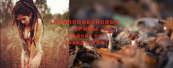 спайс Пересвет